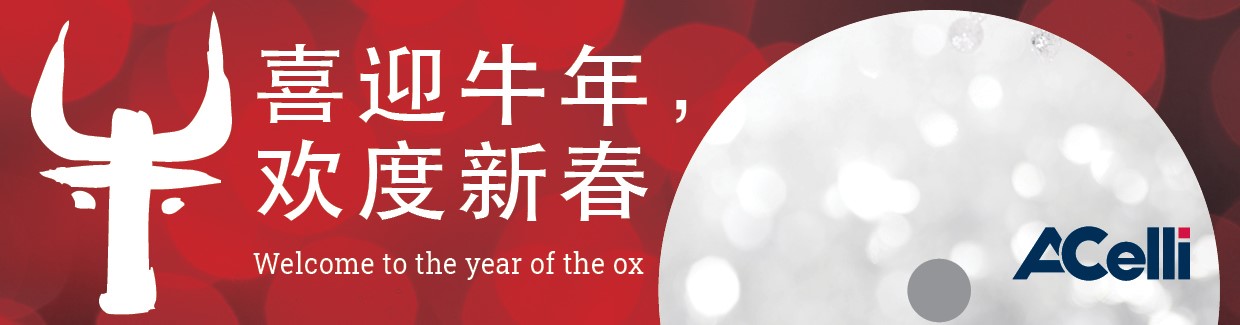 China 2021 new years Eve banner