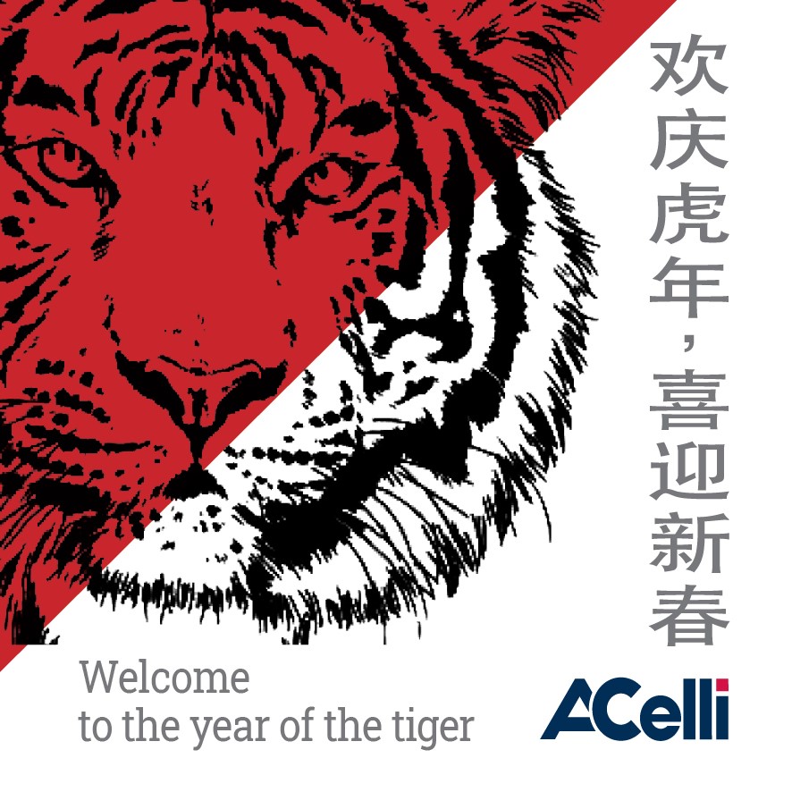 Chinese Year of the Tiger